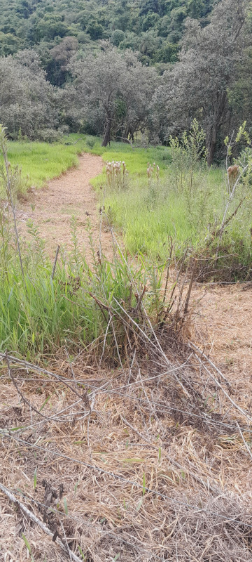 Sítio à venda Área Rural de Piracicaba com 48000m² e 1 quarto por R$ 730.000 - 1806006010-20240308-165711.jpg