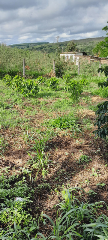 Sítio à venda Área Rural de Piracicaba com 48000m² e 1 quarto por R$ 730.000 - 559935589-20231101-074347.jpg