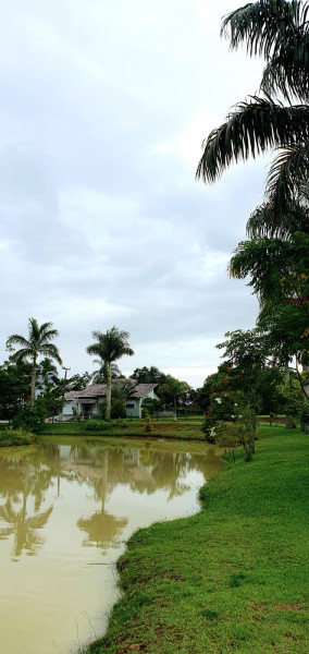 Casa de condomínio à venda Sul do Rio com 855m² e 3 quartos por R$ 1.490.000 - 1219938065-img-20240225-wa0023.jpg