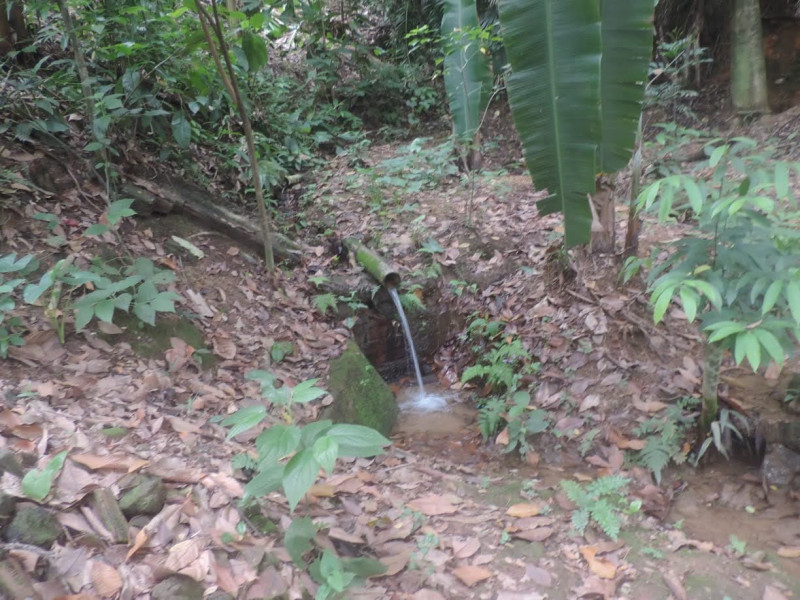 Chácara à venda Vila Canaan com 6173m² e 4 quartos por R$ 6.000.000 - 646033247-img-20240323-wa0084.jpg