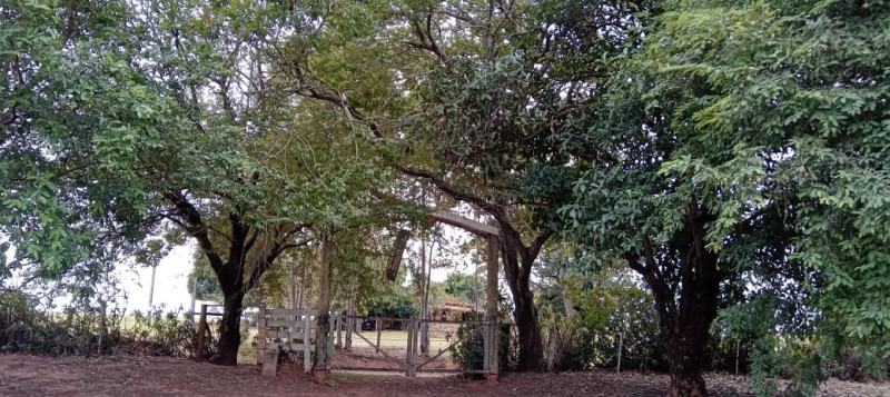 Sítio à venda Centro com 3m² e 4 quartos por R$ 400.000 - 1050573229-img-20231111-wa0007.jpg