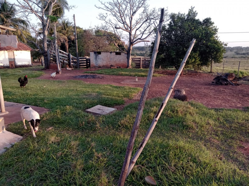 Sítio à venda Centro com 3m² e 4 quartos por R$ 400.000 - 1435628335-img-20231111-wa0015.jpg