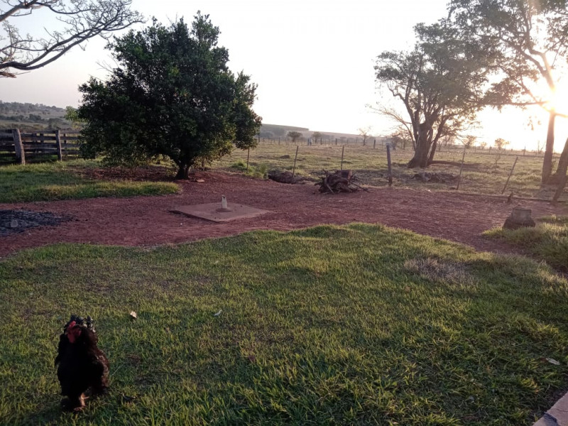 Sítio à venda Centro com 3m² e 4 quartos por R$ 400.000 - 1506296400-img-20231111-wa0013.jpg