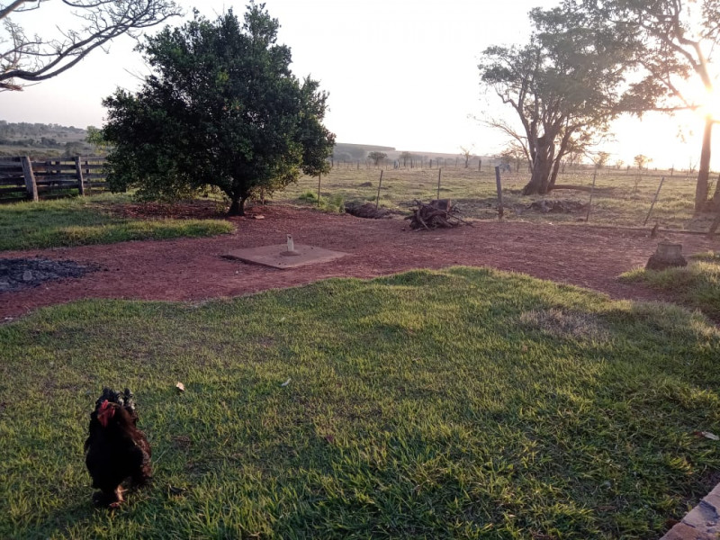 Sítio à venda Centro com 3m² e 4 quartos por R$ 400.000 - 857208854-img-20231111-wa0003.jpg