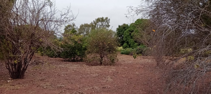 Sítio à venda Centro com 3m² e 4 quartos por R$ 400.000 - 91937568-img-20231111-wa0006.jpg