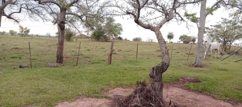 Sítio à venda Centro com 3m² e 4 quartos por R$ 400.000 - 98862983-img-20231111-wa0002.jpg