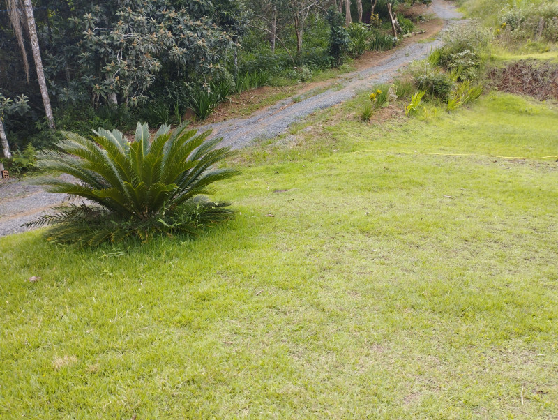 Sítio à venda Centro com 200m² e 3 quartos por R$ 850.000 - 1221729512-img-20240316-143928.jpg