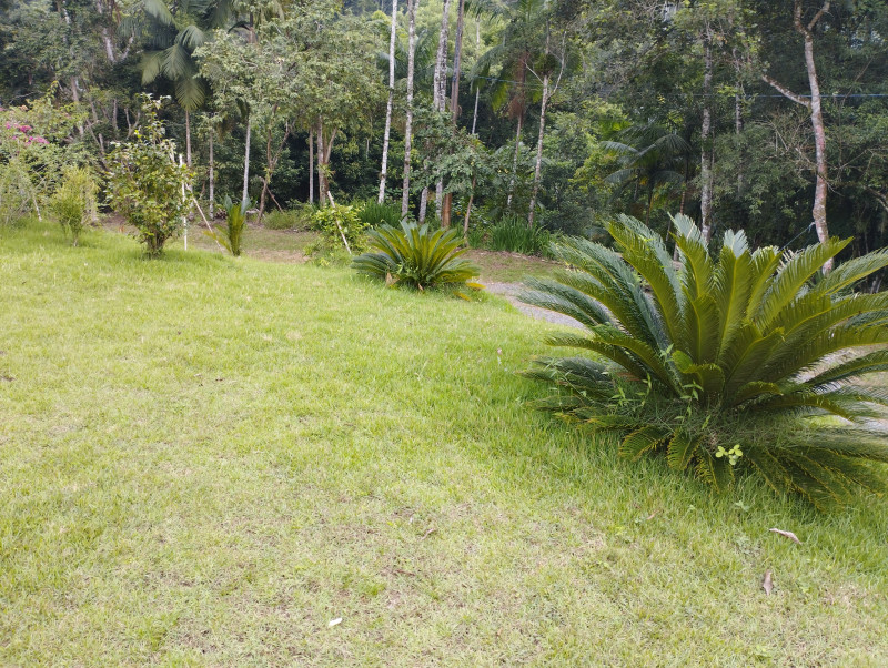 Sítio à venda Centro com 200m² e 3 quartos por R$ 850.000 - 1393562483-img-20240316-144349.jpg
