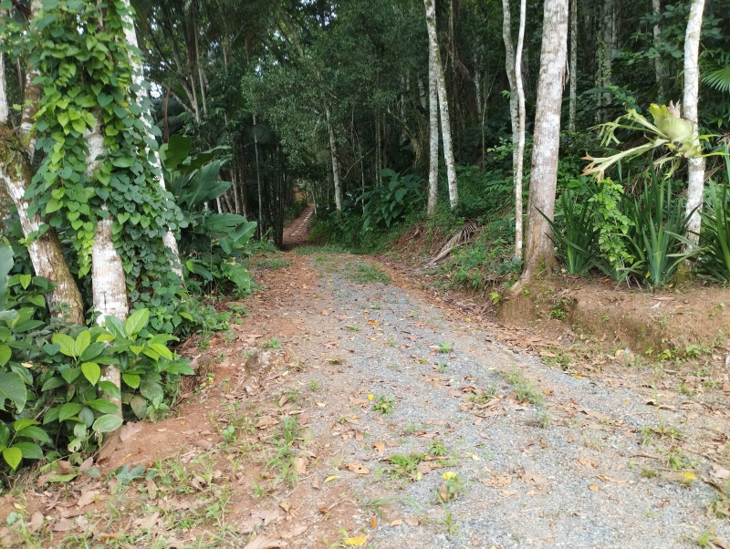 Sítio à venda Centro com 200m² e 3 quartos por R$ 850.000 - 1734440560-img-20240316-144222.jpg