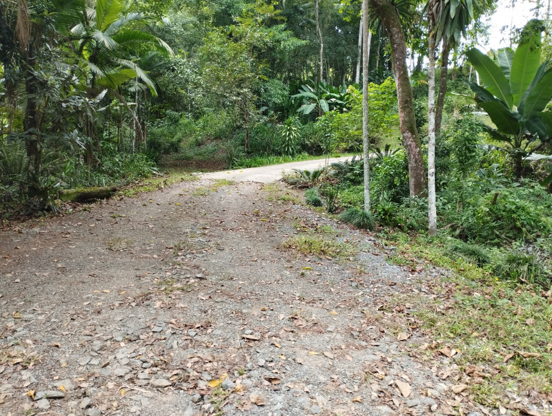 Sítio à venda Centro com 200m² e 3 quartos por R$ 850.000 - 534803283-img-20240316-143329.jpg