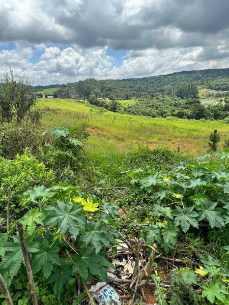 Terreno à venda Centro com 65000m² e 0 quartos por R$ 22.750.000 - 1476788141-terreno-s.jpg