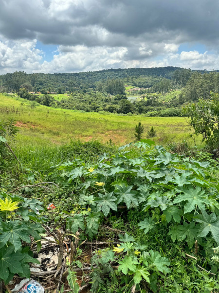 Terreno à venda Centro com 65000m² e 0 quartos por R$ 22.750.000 - 964140225-terreno-s.jpg