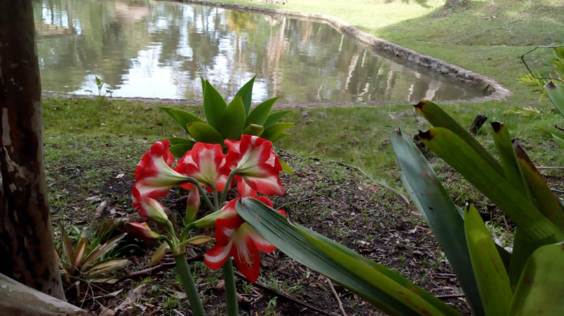 Chácara à venda centro com 4560m² e 5 quartos por R$ 1.300.000 - 935431201-inbound6735477329673434881.jpg