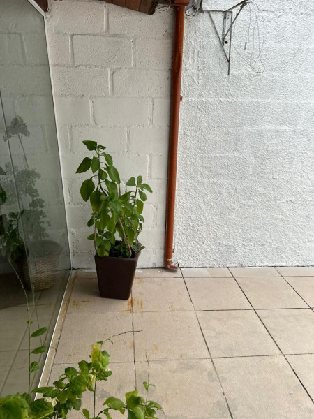 Casa de condomínio à venda bela vista com 70m² e 2 quartos por R$ 340.000 - 1264343155-img-20240328-wa0068.jpg