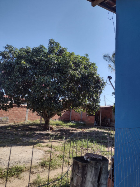 Casa à venda Vila Canaã com 555m² e 2 quartos por R$ 170.000 - 1718957708-whatsapp-image-2024-03-27-at-09.jpeg