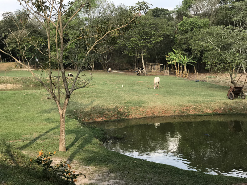 Chácara à venda Chácaras Horizonte Azul com 6000m² e 2 quartos por R$ 1.200.000 - 1874398885-fcf2f5d2-b439-4fa7-89d5-0c6d95c0dd5d.jpeg
