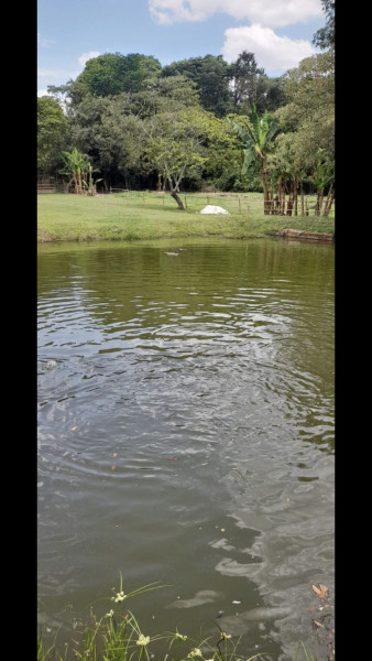 Chácara à venda Chácaras Horizonte Azul com 6000m² e 2 quartos por R$ 1.200.000 - 942277527-ef424797-e411-45c0-a3e8-d4107458ebd5.jpeg
