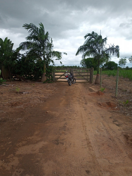 Fazenda à venda Centro com 1277094m² e 4 quartos por R$ 6.200.000 - 1367042958-whatsapp-image-2023-12-28-at-12.jpeg