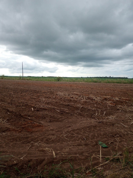 Fazenda à venda Centro com 1277094m² e 4 quartos por R$ 6.200.000 - 147715749-whatsapp-image-2023-12-28-at-12.jpeg