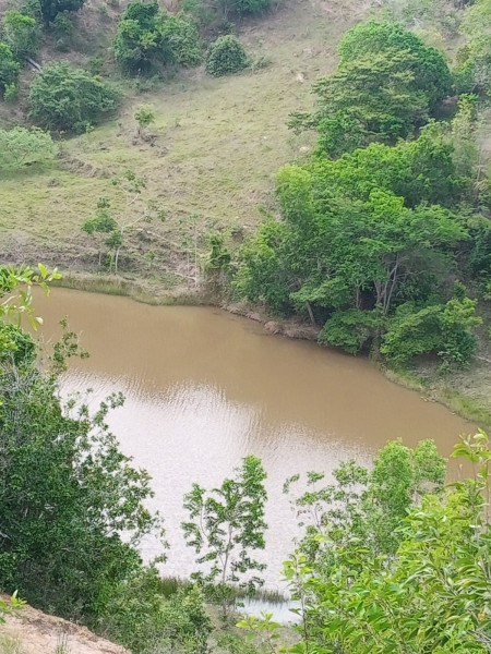 Fazenda à venda Centro com 1277094m² e 4 quartos por R$ 6.200.000 - 1477373379-whatsapp-image-2023-12-28-at-12.jpeg