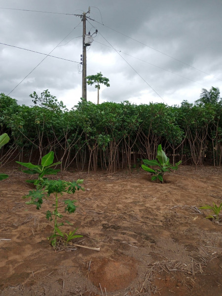 Fazenda à venda Centro com 1277094m² e 4 quartos por R$ 6.200.000 - 1869154730-whatsapp-image-2023-12-28-at-12.jpeg