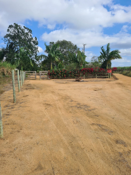 Fazenda à venda Centro com 1277094m² e 4 quartos por R$ 6.200.000 - 267654335-whatsapp-image-2023-12-28-at-12.jpeg