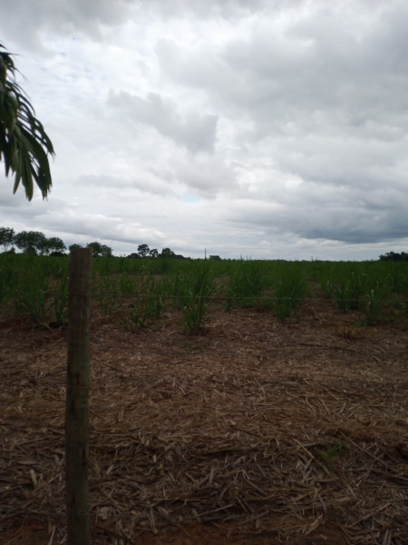 Fazenda à venda Centro com 1277094m² e 4 quartos por R$ 6.200.000 - 925160591-whatsapp-image-2023-12-28-at-12.jpeg