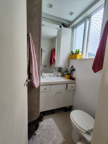 Apartamento à venda Cosme Velho  com 87m² e 2 quartos por R$ 890.000 - 724347954-img-20240223-172530.jpg