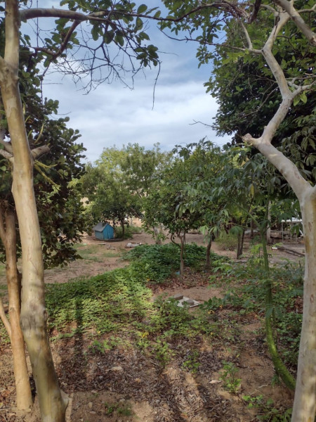 Casa à venda Juliana G Padilha com 550m² e 3 quartos por R$ 300.000 - 194767259-whatsapp-image-2024-03-29-at-21.jpeg