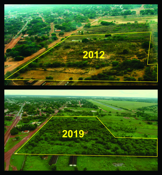 Sítio à venda Centro com 110m² e 2 quartos por R$ 700.000 - 93500783-recuperacao-ambiental.jpg