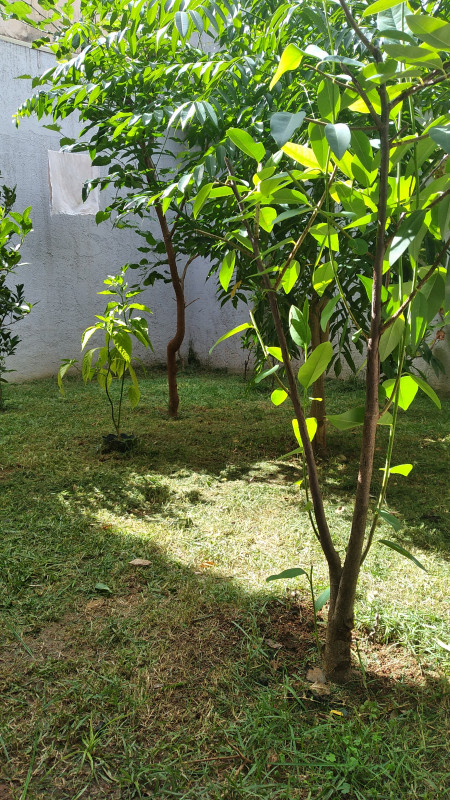 Casa de condomínio à venda Setor Habitacional Vicente Pires com 200m² e 2 quartos por R$ 630.000 - 1617204599-1000000395.jpg