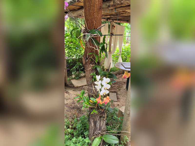 Casa de condomínio à venda Serra do Cipó com 210m² e 3 quartos por R$ 880.000 - affc99d6-917e-4dc8-b23b-15454c488f1d.jpeg