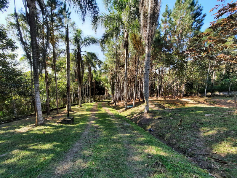 Sítio à venda Centro com 3504912m² e 17 quartos por R$ 2.500.000 - 1856760522-63626ad2-435e-4487-93b1-93f33c5b130d.jpg