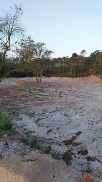 Terreno à venda Centro com 2600m² e 0 quartos por R$ 2.100.000 - 1309060943-8.jpg