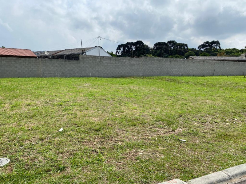 Terreno à venda Umbará com 113m² e 0 quartos por R$ 200.000 - 252695697-img-20240403-wa0076.jpg