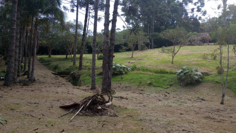 Terreno à venda Centro com 4000m² e 0 quartos por R$ 850.000 - 1437752433-terreno.jpg