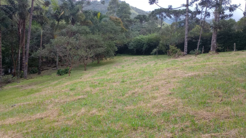 Terreno à venda Centro com 4000m² e 0 quartos por R$ 850.000 - 40609597-terreno-1.jpg
