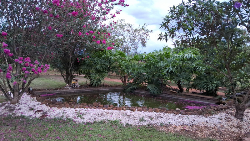 Chácara à venda Recanto Alvorada - Sítios de Recreio com 300m² e 4 quartos por R$ 1.780.000 - 1597726165-1000037223.jpg