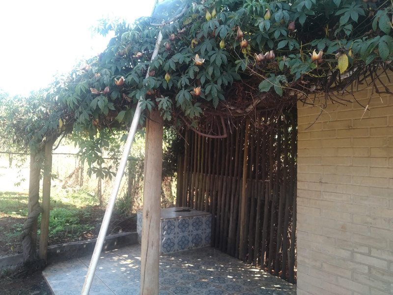 Chácara à venda Recanto Alvorada - Sítios de Recreio com 300m² e 4 quartos por R$ 1.780.000 - 2071252192-1000066564.jpg