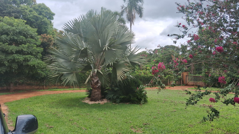 Chácara à venda Recanto Alvorada - Sítios de Recreio com 300m² e 4 quartos por R$ 1.780.000 - 2090578107-1000059753.jpg