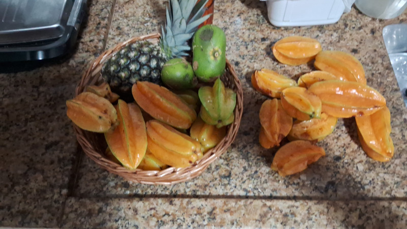 Chácara à venda Recanto Alvorada - Sítios de Recreio com 300m² e 4 quartos por R$ 1.780.000 - 915178772-1000037240.jpg