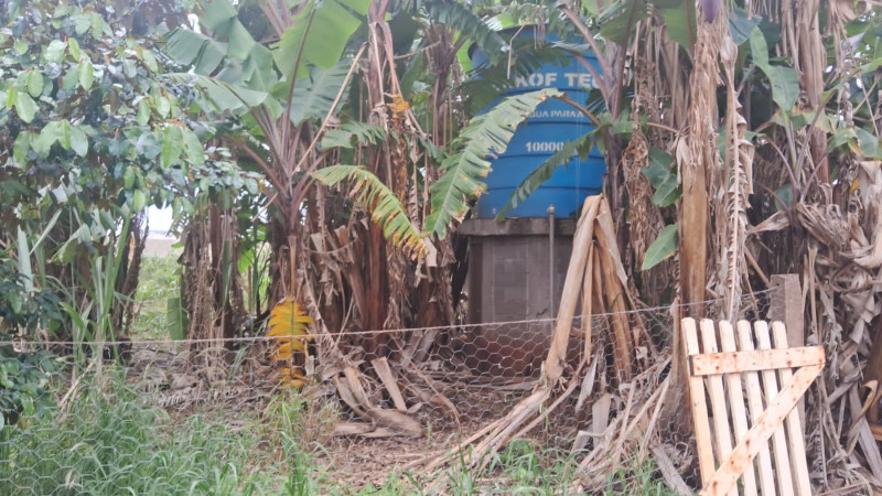 Chácara à venda Recanto Alvorada - Sítios de Recreio com 300m² e 4 quartos por R$ 1.780.000 - 979292564-1000066623.jpg