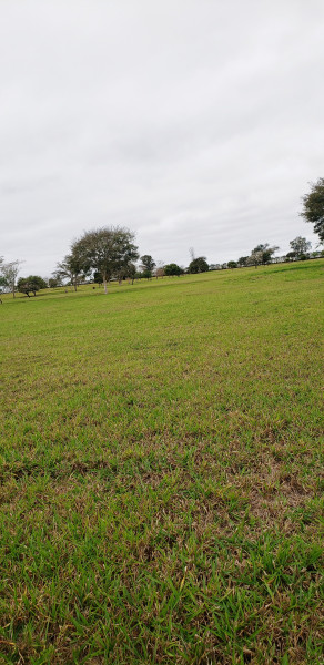 Terreno à venda Centro com 450m² e 0 quartos por R$ 19.990 - 1310614472-1000029542.jpg