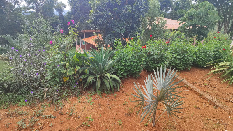 Sítio à venda Centro com 2000m² e 2 quartos por R$ 220.000 - 1119743750-1712513214964.jpg