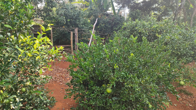 Sítio à venda Centro com 2000m² e 2 quartos por R$ 220.000 - 1168968276-1712513218307.jpg