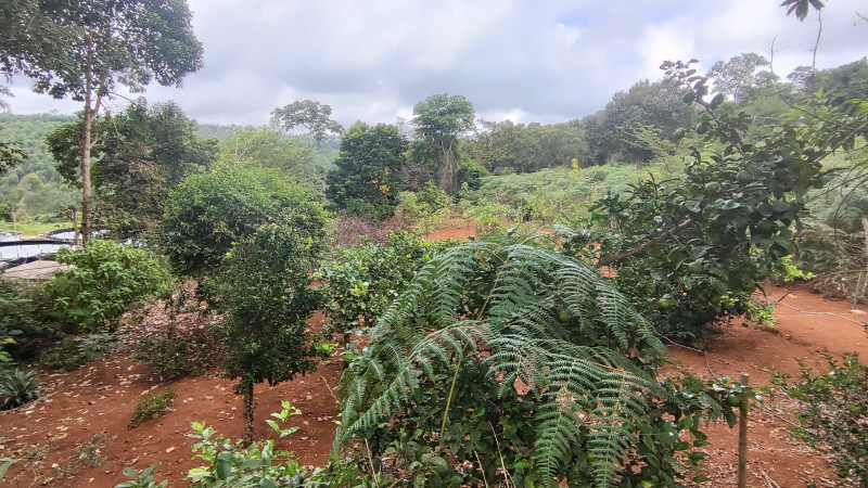 Sítio à venda Centro com 2000m² e 2 quartos por R$ 220.000 - 1195651901-1712513215783.jpg