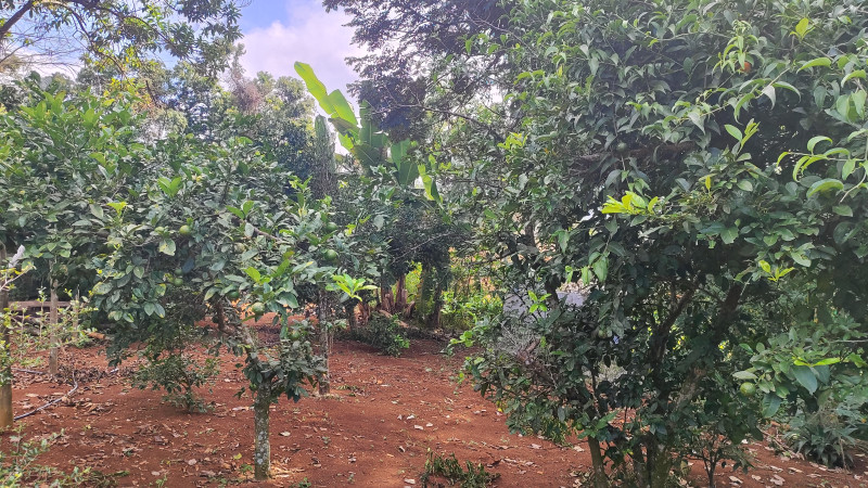 Sítio à venda Centro com 2000m² e 2 quartos por R$ 220.000 - 1217956229-1712513217973.jpg