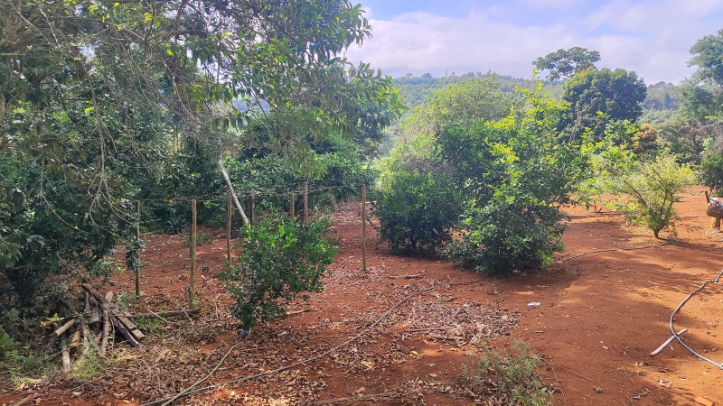 Sítio à venda Centro com 2000m² e 2 quartos por R$ 220.000 - 1585211611-1712513218397.jpg