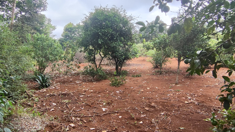 Sítio à venda Centro com 2000m² e 2 quartos por R$ 220.000 - 1772829741-1712513216264.jpg