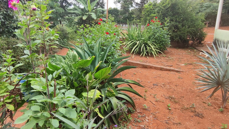 Sítio à venda Centro com 2000m² e 2 quartos por R$ 220.000 - 2024745708-1712513216084.jpg